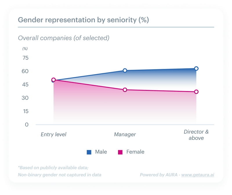 gender-representation-by-seniority-percentage