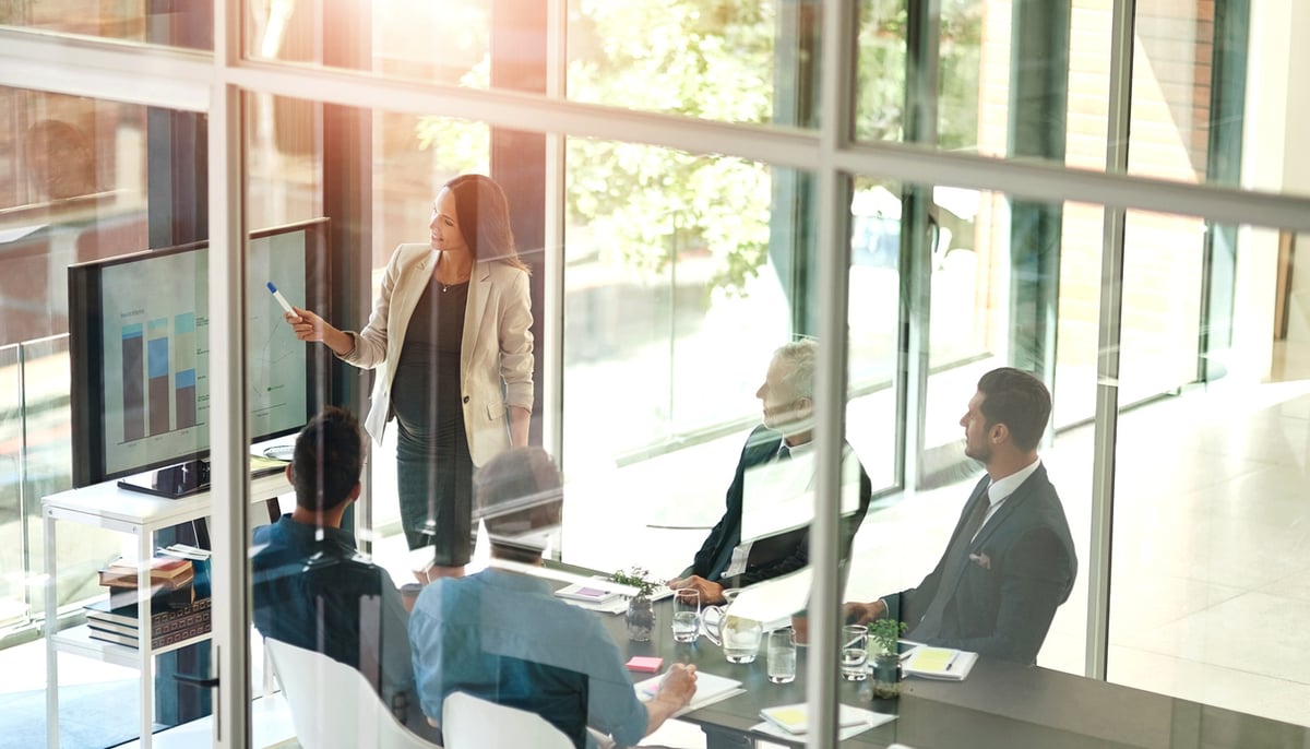 Consultant presenting data in a business meeting
