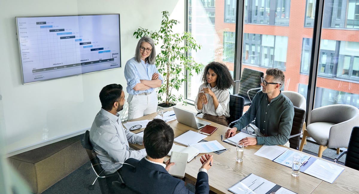 consultant giving a management presentation