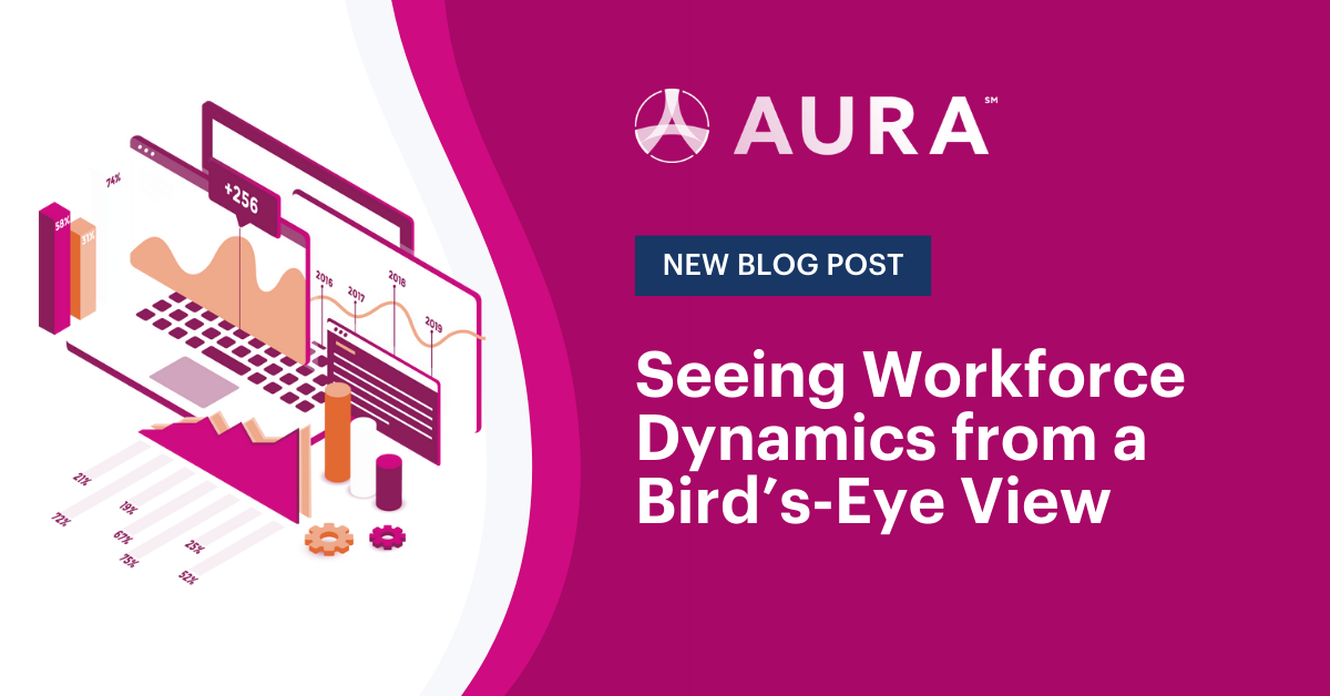 Seeing Workforce Dynamics from a Bird’s-Eye View cover image