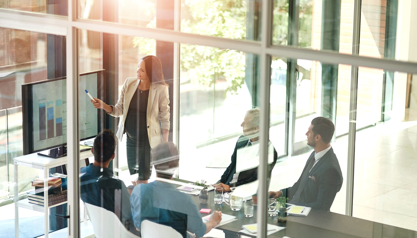 Consultant presenting data in a business meeting